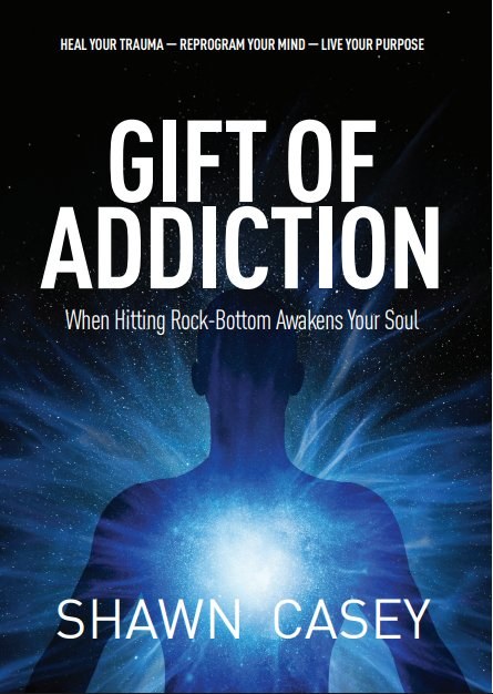 Gift of Addiction book